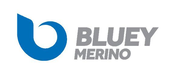 BLUEY-Logo