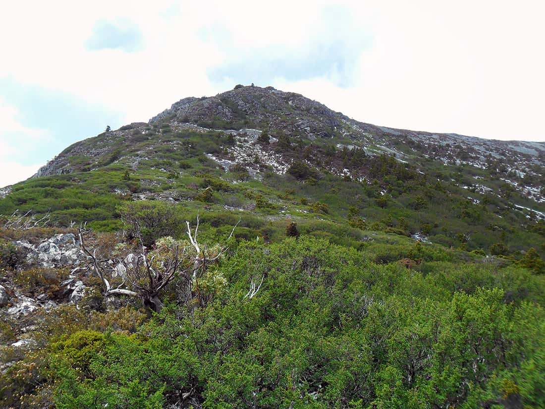 mount campbell