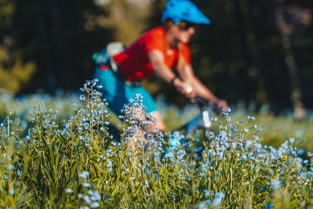 staying sane with less mountain biking